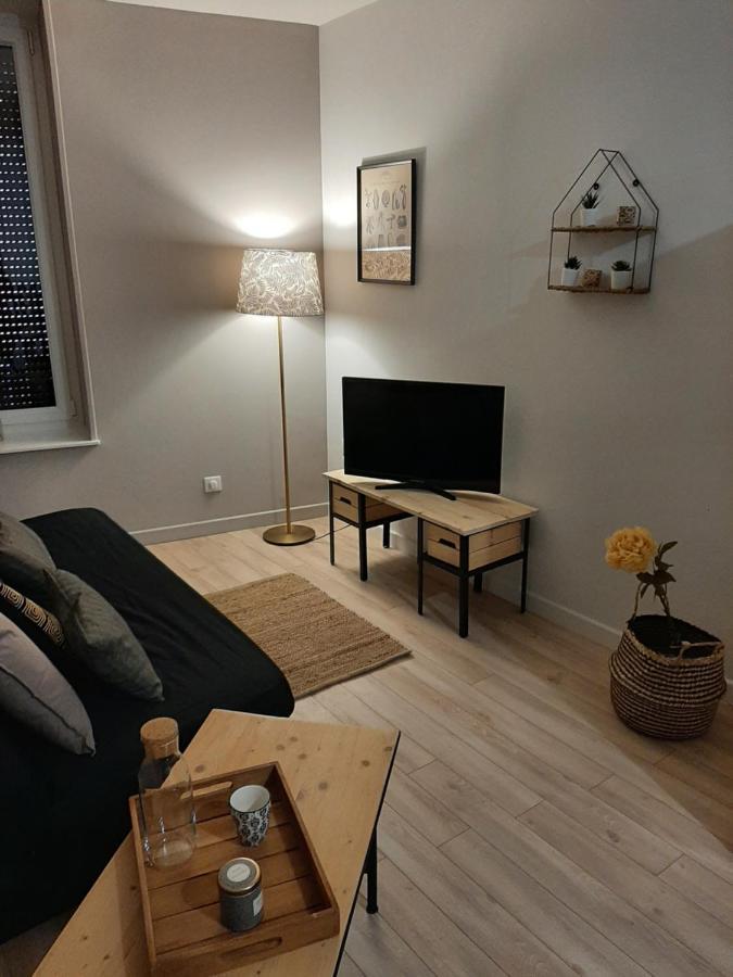 Louhans Les Petites Arcades Avec Ses Deux Appartements Cote Arcades Et Cote Cour Exterior foto